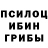 Галлюциногенные грибы мицелий iiRetro1